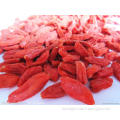 Cheap Chinese goji berry